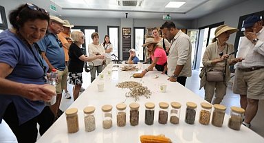 Efes Selçuk'ta agro turizm atağı