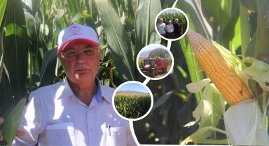 Isparta'da silajlık mısır hasadı mesaisi başladı.