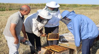 Kaymakam Bilici, ilçedeki arıcılık faaliyetlerini değerlendirdi
