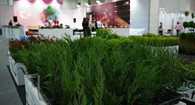Türkiye, dünya süs bitkileri pazarında söz sahibi oluyor!