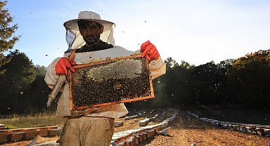 Türkiye'de ilk ve tek... 'Temiz Petek Projesi' arıcıların hizmetinde