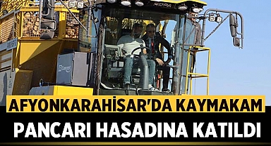 Afyonkarahisar'da Kaymakam Şeker Pancarı Hasadına Katıldı