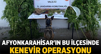 Afyonkarahisar'ın bu ilçesinde Kenevir Operasyonu