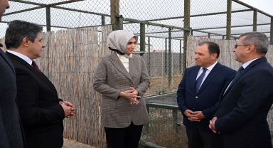 AKÜREM tarafından tedavi edilen vahşi kuşlar doğaya bırakıldı