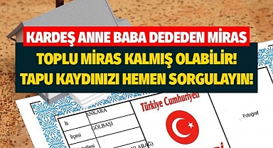 Belki de Habersiz Milyoner Oldunuz: e-Devlet Üzerinden Tapu ve Miras Sorgulama İmkanı!
