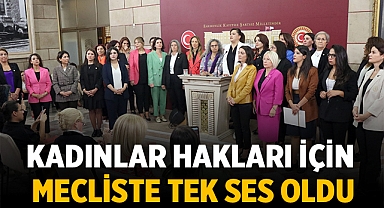 Burcu Köksal ve EŞİK Platformu TBMM'de Kadın Hakları İçin Tek Ses Oldu 