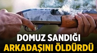 Domuz sandığı arkadaşını öldürdü 