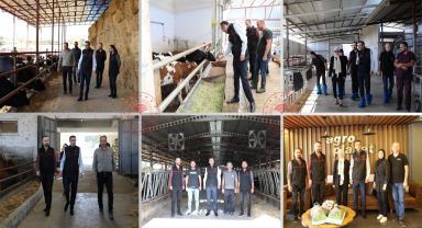 Uşak İl Müdürü Serkan Bilir, hayvancılık işletmelerini ziyaret etti.