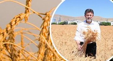 Üretici çiftçiye 11,2 milyar TL'lik destek