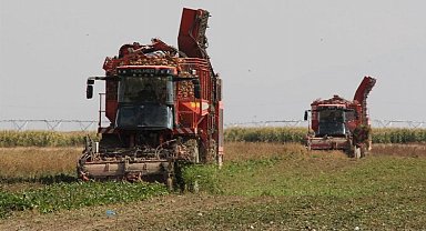 Üretici ortağa 181 milyon TL pancar söküm avansı