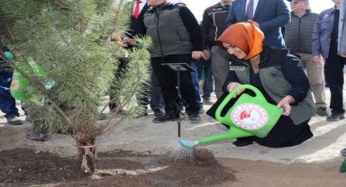 Afyonkarahisar Valiliği, Milli Ağaçlandırma Günü'nde 28 Bin Fidan Dikerek Doğa Sevgisine Katkı Sağladı