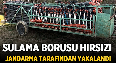 Afyonkarahisar'da Sulama Borusu Hırsızı Jandarma Tarafından Yakalandı