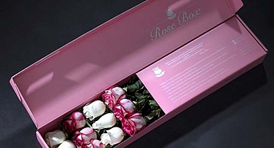 Doğum Günü Çiçeği