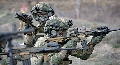 Irak ve Suriye'de 87 terörist etkisiz hale getirildi