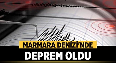 Marmara Denizi'nde Deprem Oldu!İşte depremin büyüklüğü!