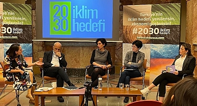 Türkiye'nin Güçlü İklim Hedefi Koymasının Ekonomik Faydaları