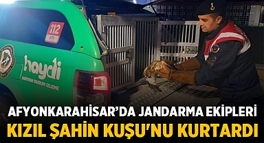 Afyonkarahisar'da Jandarma ekipleri kızıl şahin kuşu'nu kurtardı