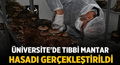 Afyonkarahisar Sağlık Bilimleri Üniversitesi'nde Tıbbi Mantar Hasadı Gerçekleştirildi