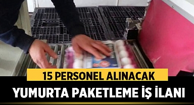 Afyonkarahisar Yumurta Paketleme İş İlanı