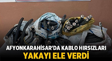 Kaçakçılık ve Hırsızlık Operasyonuyla Afyonkarahisar'da Kablo Hırsızlığı Önleniyor
