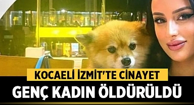 Kocaeli'nde Cinayet: Karanlık Sırlarla Dolu Bir Aşk Hikayesi