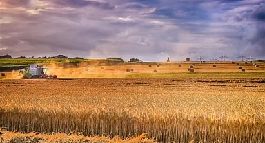 Tarımsal Destek Çiftçilere Ulaştı: 1 Milyar 172 Milyon TL Hesaplarda