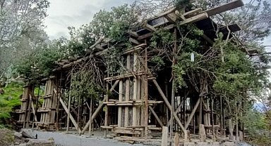 Bodrum'da Kaçak Yapılaşmaya Ağaçlar Engel Olamadı