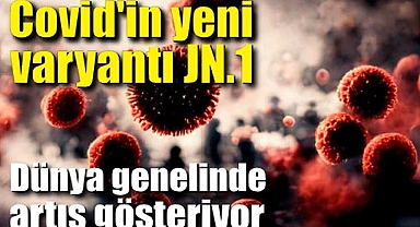 Covid-19 ve Diğer Viral Enfeksiyonlarla Başa Çıkmanın Yolları