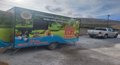 Emirdağ Belediyesi Sokak Hayvanlarına Kucak Açıyor: Sağlık ve Özgürlük İçin Adımlar Atılıyor