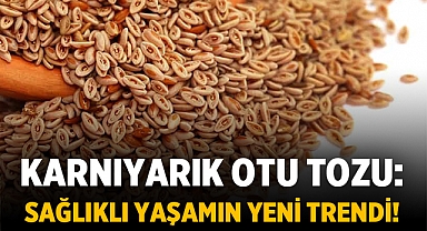Karnıyarık Otu Tozu: Sağlıklı Yaşamın Yeni Trendi!
