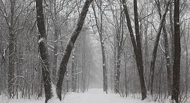 Sağlık Bakanı Koca: Kar Kaplı Mezralarda Paletli Ambulansla Hasta Nakli Gerçekleşti