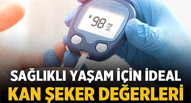 Sağlıklı Yaşam İçin İdeal Kan Şeker Değerleri Ne Olmalıdır?