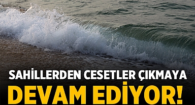 Sahillerden cesetler çıkmaya devam ediyor!: Ceset sayısı 8 oldu!