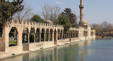 Şanlıurfa'da Yılbaşı Operasyonlarından Çarpıcı Sonuçlar!