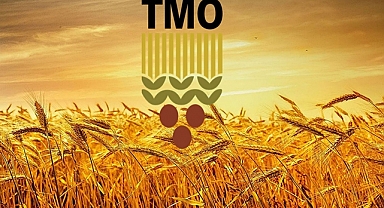 TMO'da Büyük İndirim: Yumurta, Piliç, Ayçiçek Yağı ve Daha Fazlası Yarı Fiyata İndi!