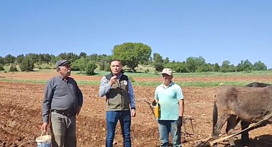 Palaz Köyü: Binlerce Yıllık Tarım Geleneğinin Yaşayan Kanıtı