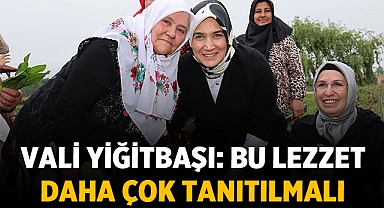 Afyon'un Labada Sarması Serüveni: Vali Yiğitbaşı da Kadınlarla Yaprağı Topladı!