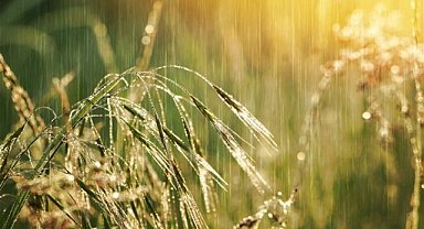 Orta Karadeniz'e Gök Gürültülü Sağanak Uyarısı! Bölgeyi Sel ve Fırtına Tehlikesi Bekliyor!