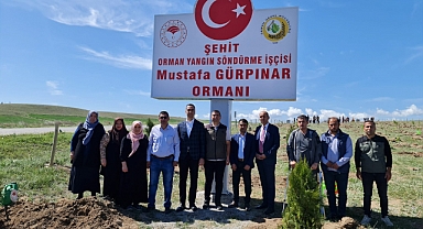 Şehit Mustafa Gürpınar'ın Adına Hatıra Ormanı Dikildi!