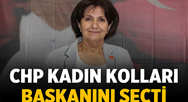 Afyonkarahisar CHP Kadın Kolları Başkanını Seçti: İşte sonuç!
