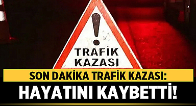 Afyonkarahisar'da Feci Kaza: 1 Ölü, 7 Yaralı!