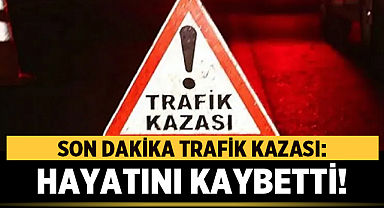 Bayram Ziyaretinde Yaşamını Yitirdi: Elmas Kardaş Traktör Kazasında vefat etti