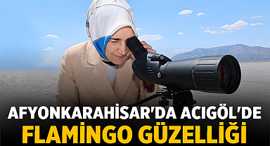 Afyonkarahisar'da Acıgöl'de Flamingo güzelliği: Vali Güran Yiğitbaşı ziyaret etti