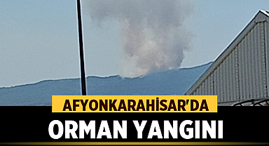 Afyonkarahisar'da Orman Yangını!