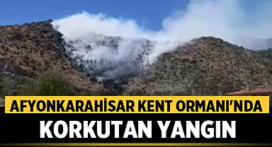 Afyonkarahisar Kent Ormanı'nda Korkutan Yangın: Ekipler Müdahale Ediyor