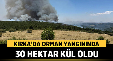 Afyonkarahisar Orman Yangınının Bilançosu: 30 Hektar Kül Oldu