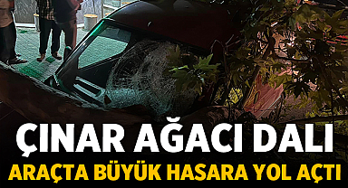 Bolvadin'de çınar ağacı dalı araçta büyük hasara yol açtı