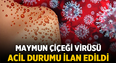 Maymun Çiçeği Virüsü Küresel Halk Sağlığı Acil Durumu İlan Edildi