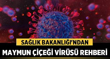 Sağlık Bakanlığı'ndan Maymun Çiçeği Virüsü Rehberi: Bilmeniz Gerekenler