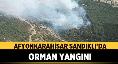 Sandıklı'da Orman Yangını Çıktı: Ekipler Seferber Oldu